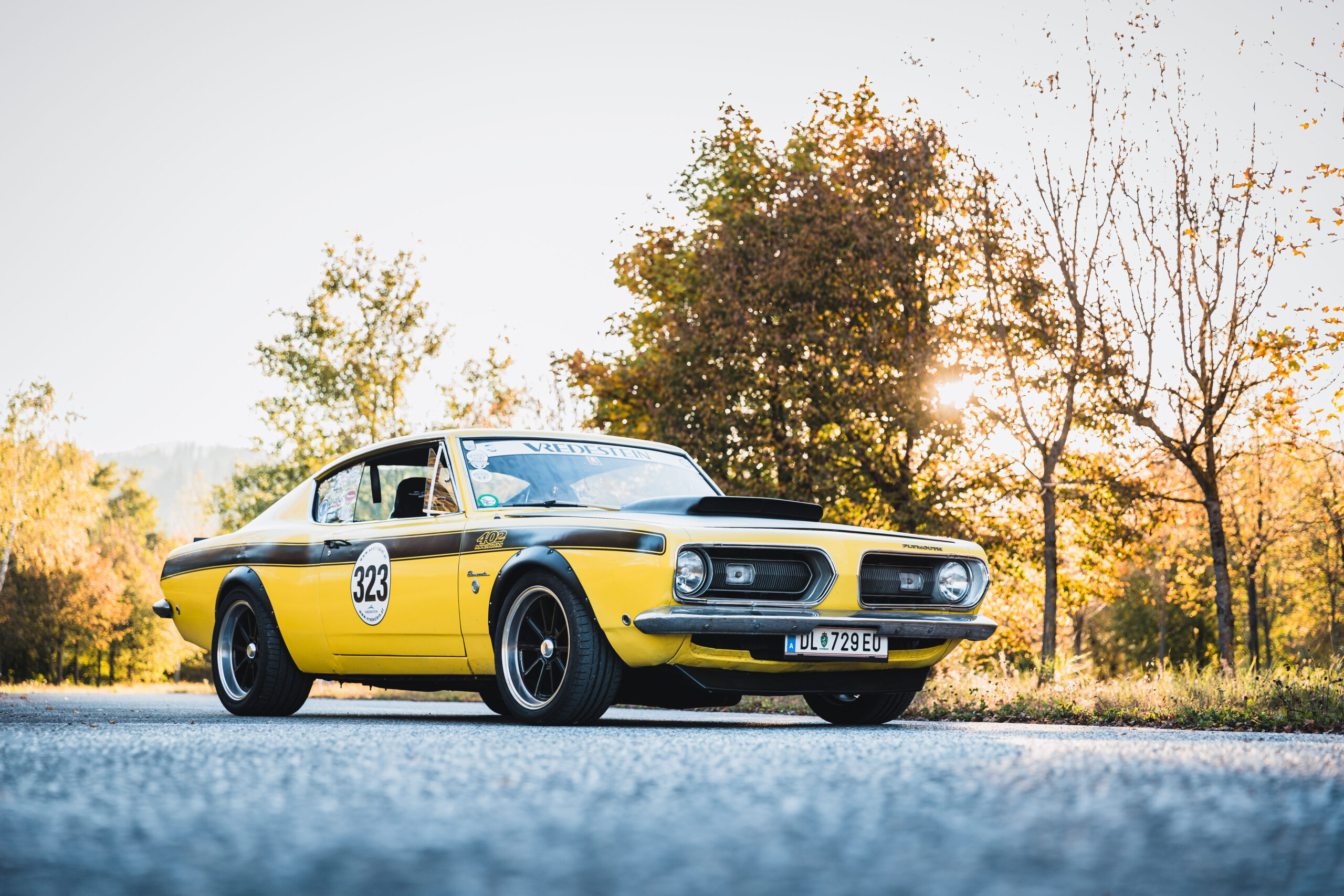 IMG_2004-Bearbeitet IMG_2004-Bearbeitet